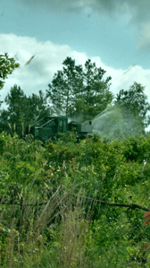 applicator